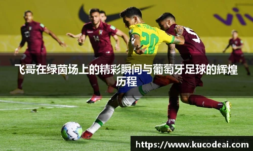 飞哥在绿茵场上的精彩瞬间与葡萄牙足球的辉煌历程